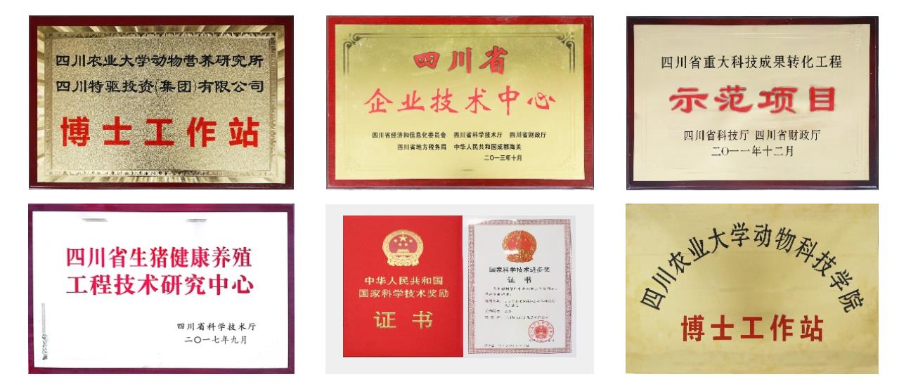 技術獎項 技術獎項