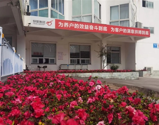 特驅農牧“雙美評選”揭榜，現代化飼料工廠原來長這樣！